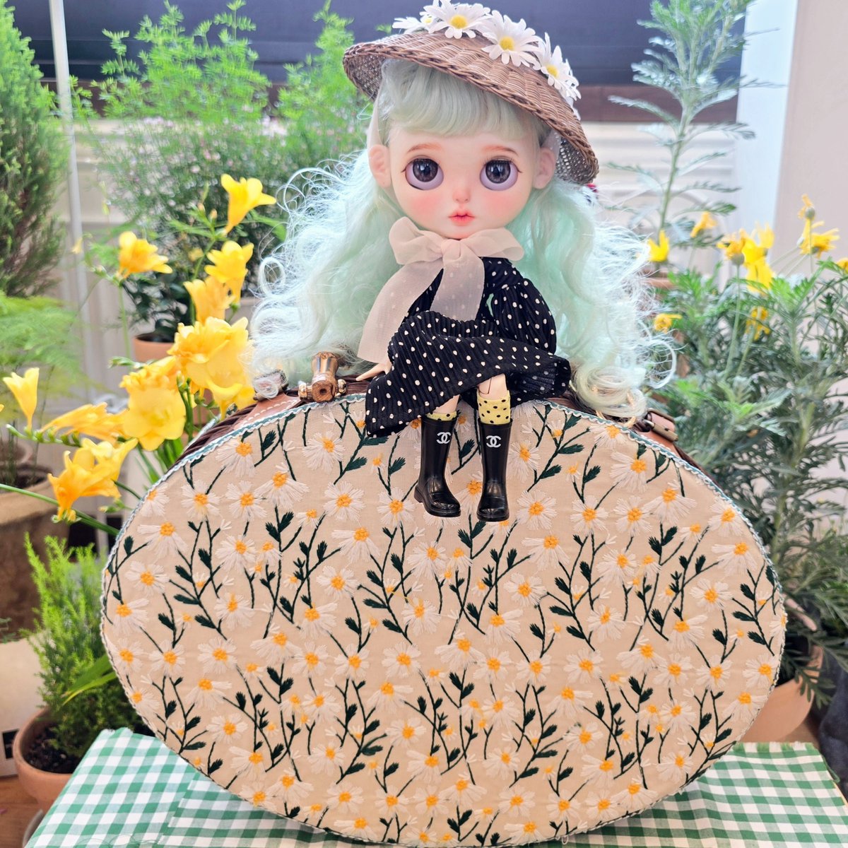 Mr. Hoffmann's Toy Box-2026.5.17 & 11.22 tweet media