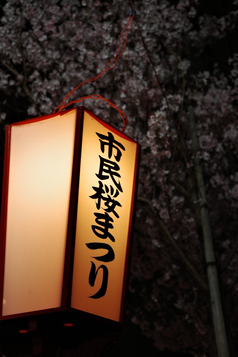 うよったん🐰🍒 tweet media