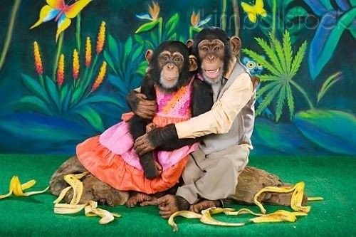 𝐁𝐢𝐠 𝐉 tweet media