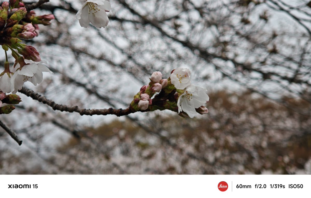 𝙎𝙤𝙪 tweet media