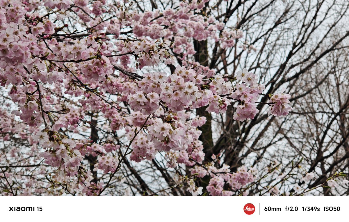 𝙎𝙤𝙪 tweet media