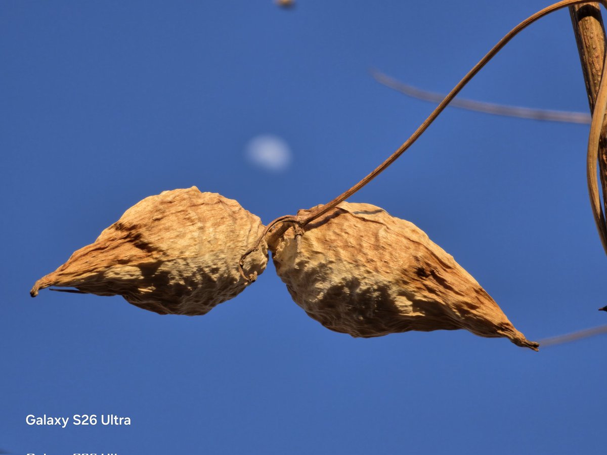 Ice Universe tweet media