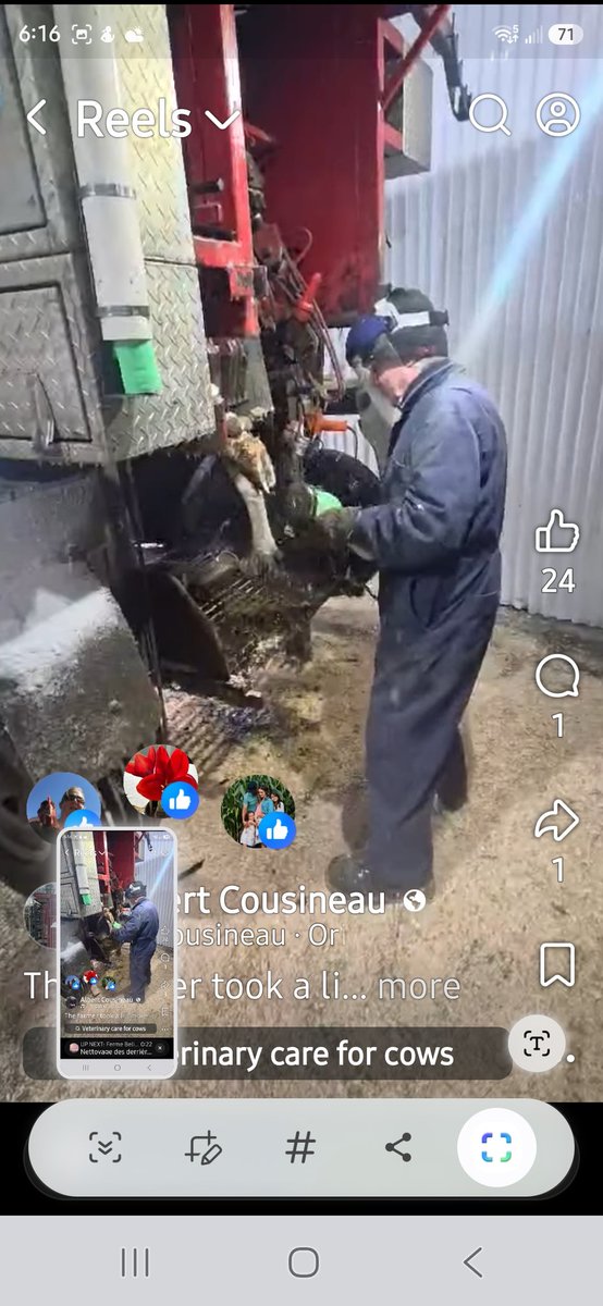 The Hoof Trimmer🇨🇦 tweet media