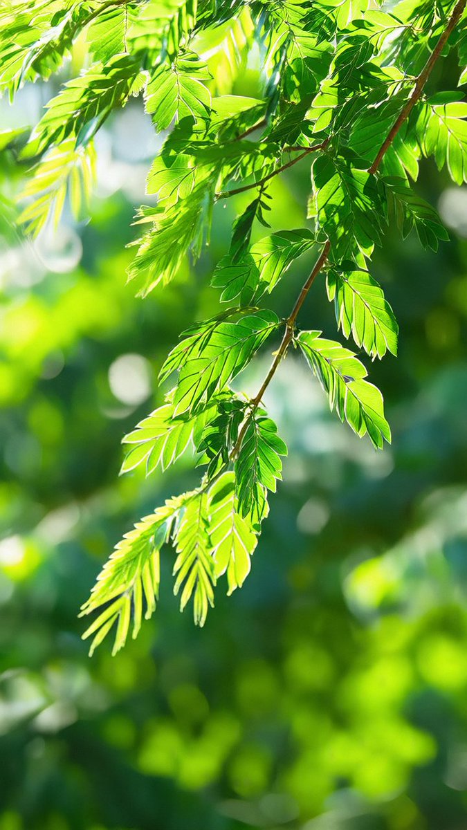 Courtney Paz tweet media