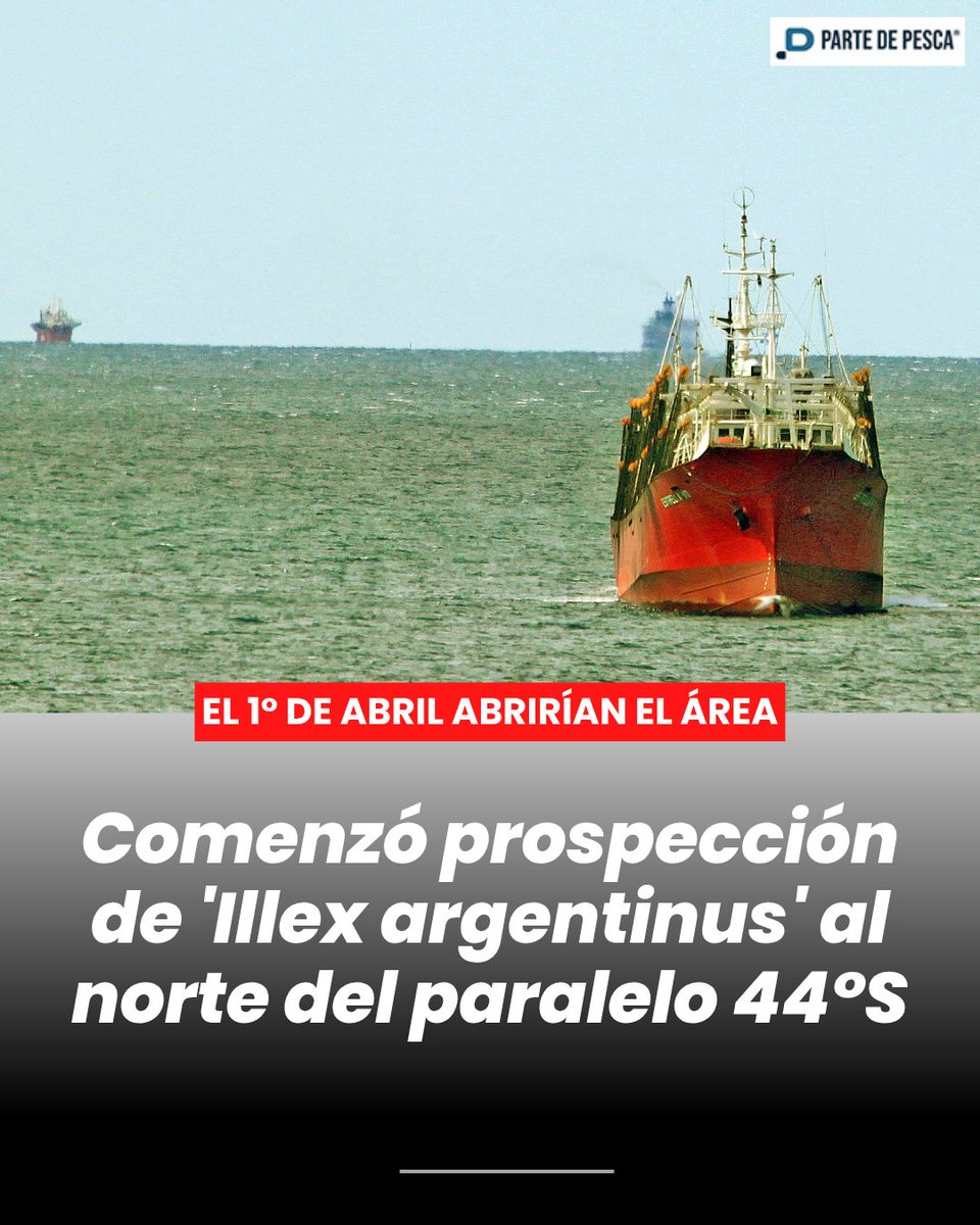 Parte de Pesca tweet media