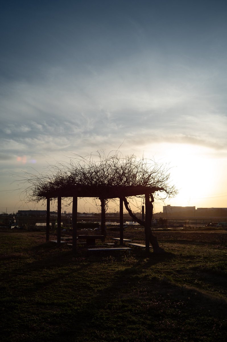 YOuSUKE_photo@NATURE4th 4/23-26 tweet media