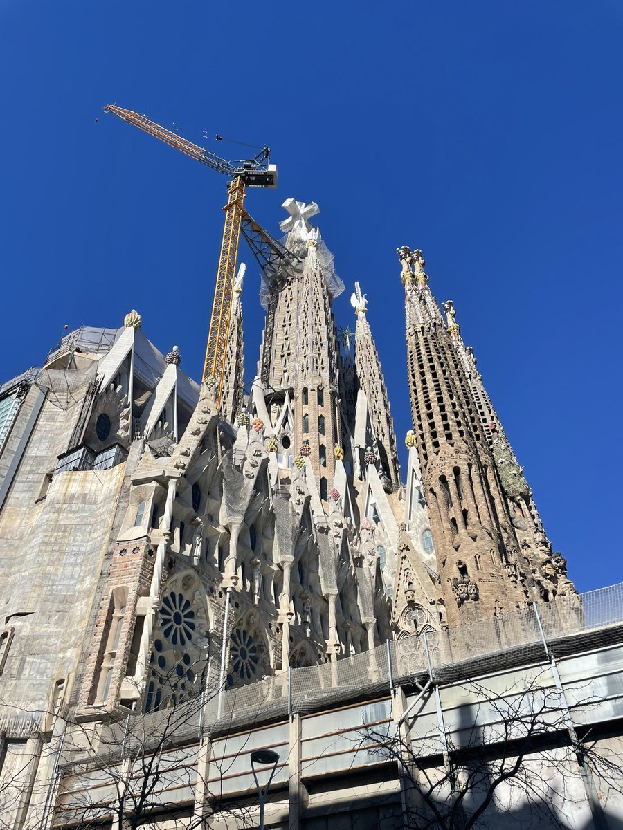 David-Independent Investor tweet media