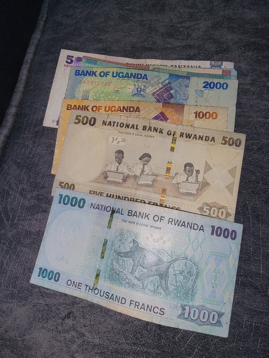 mTusi original 👦 tweet media