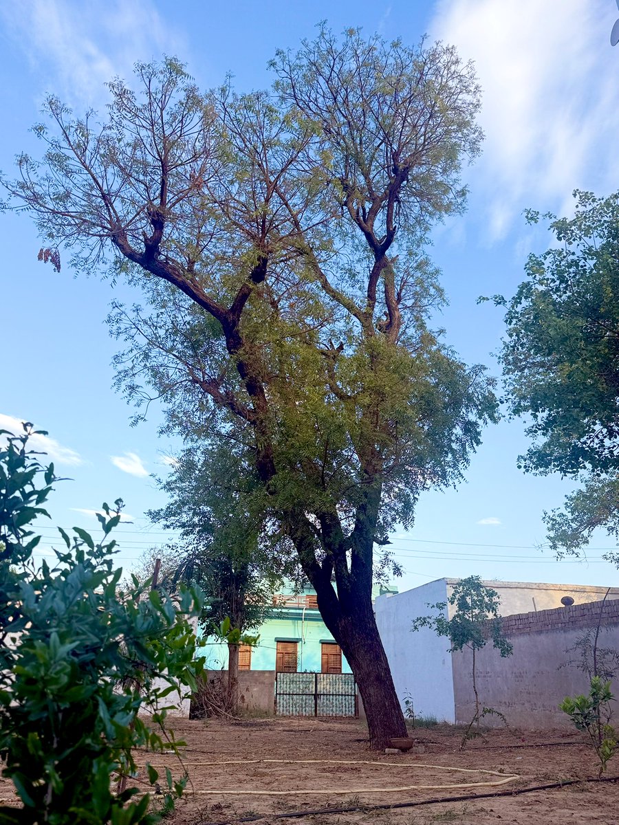 Ritu Joon tweet media