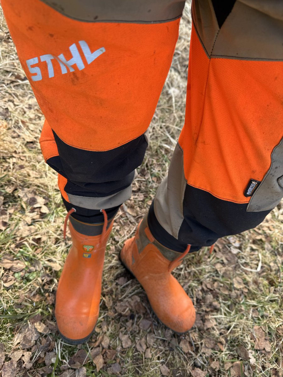 Rubman84 tweet media