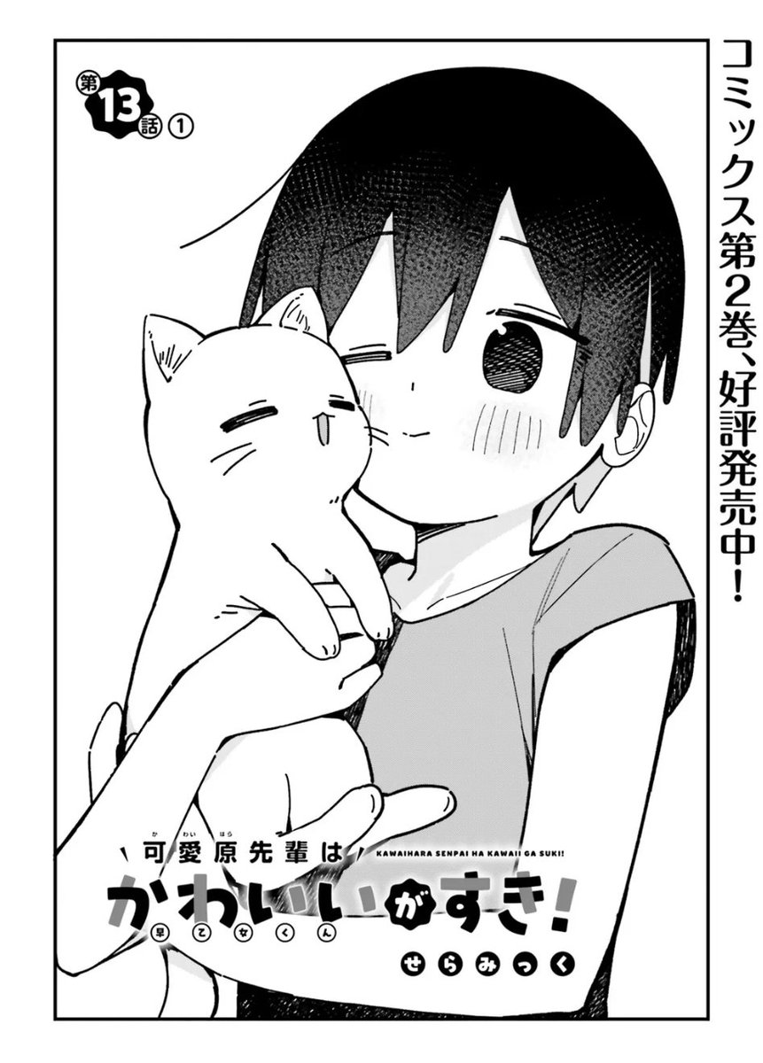 せらみっく🦈可愛原先輩2巻発売中 tweet media