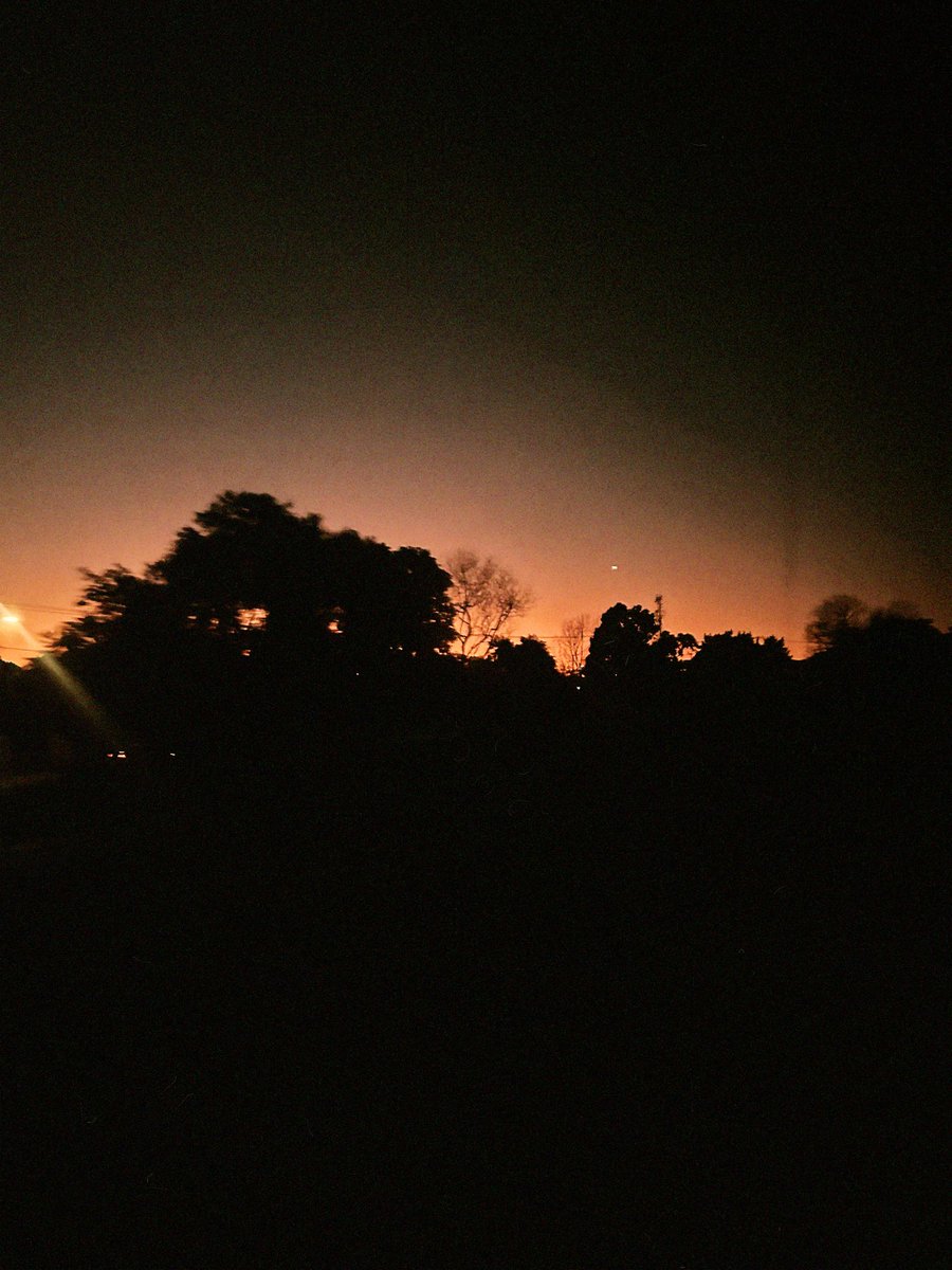 astro cami tweet media