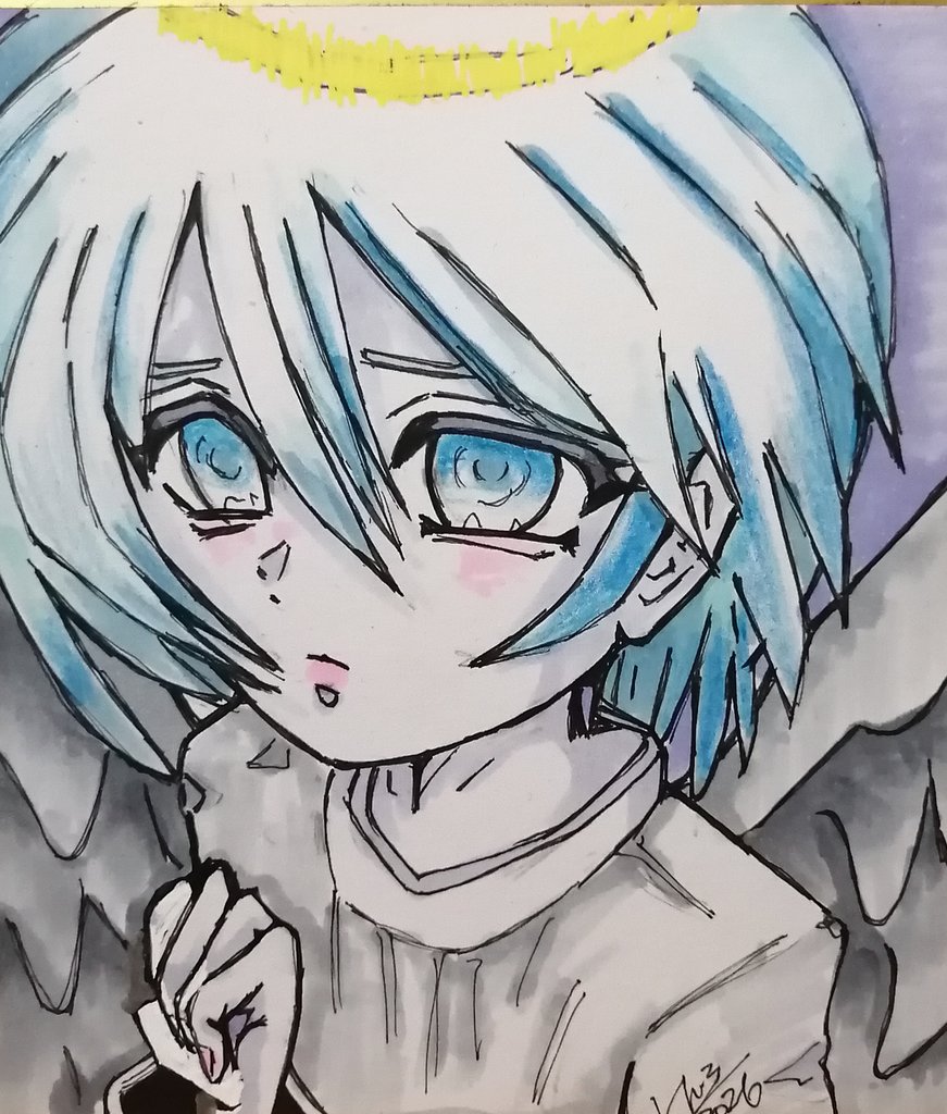 けんけん🐶🪽 tweet media