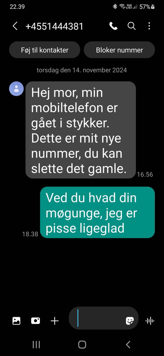 TheMagicDyvell aka Inge tweet media