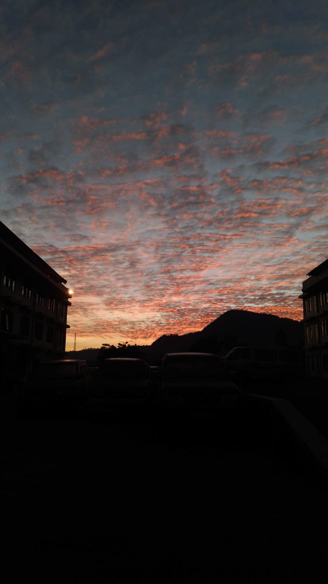 dirtybvbble's tweet photo. 🌞 https://t.co/aL4kS4mahp
