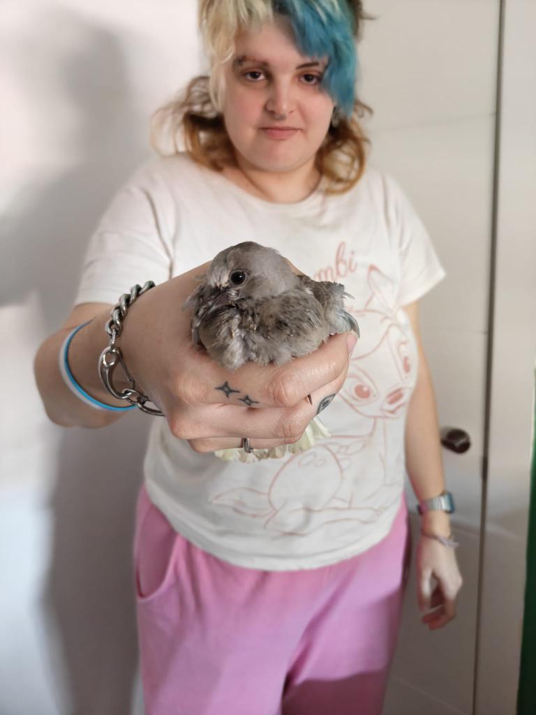 Killjoy. 👽 tweet media