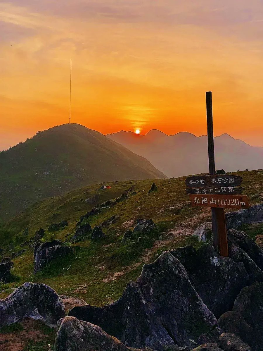 Thomas Reimann tweet media