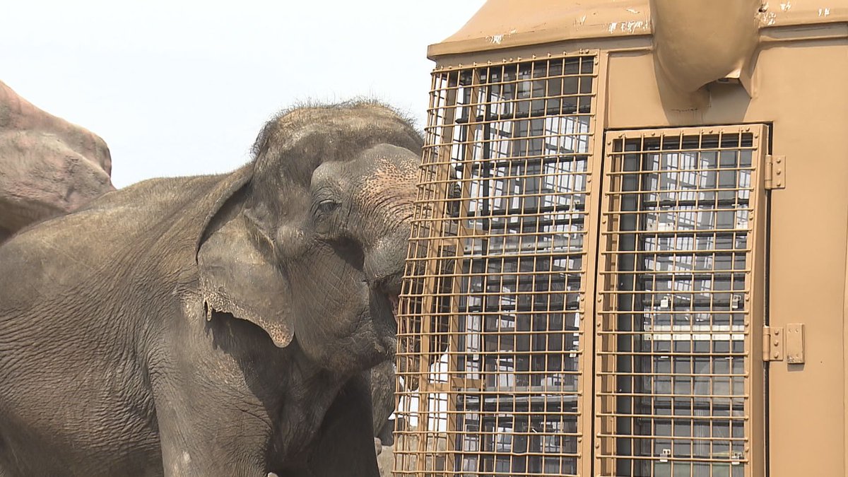 TOS テレビ大分ニュース tweet media