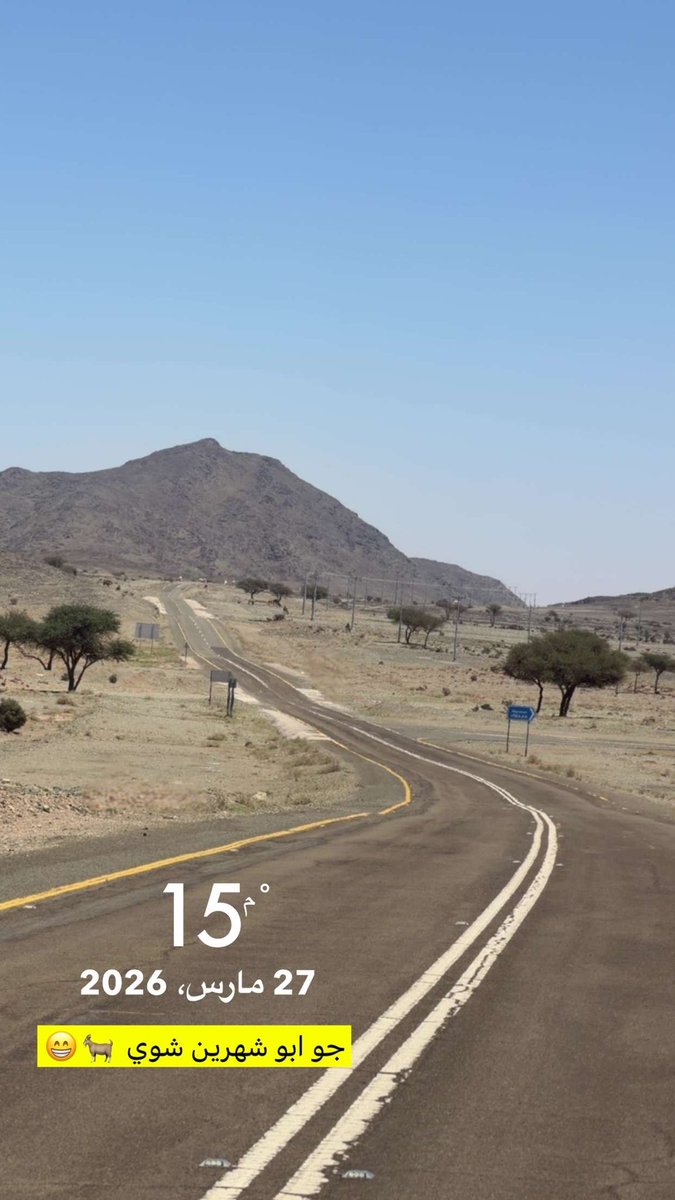 برق النير tweet media