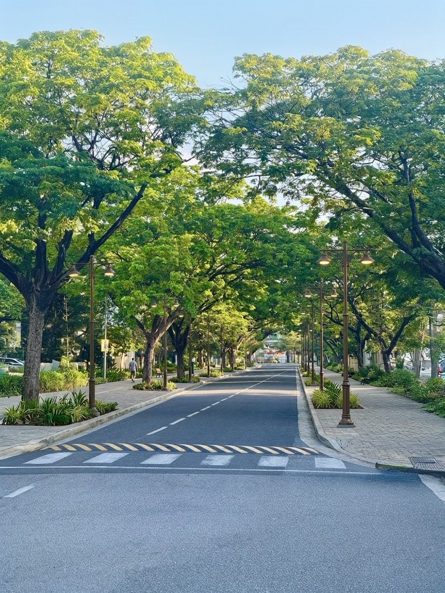 Ahmed Zahid tweet media