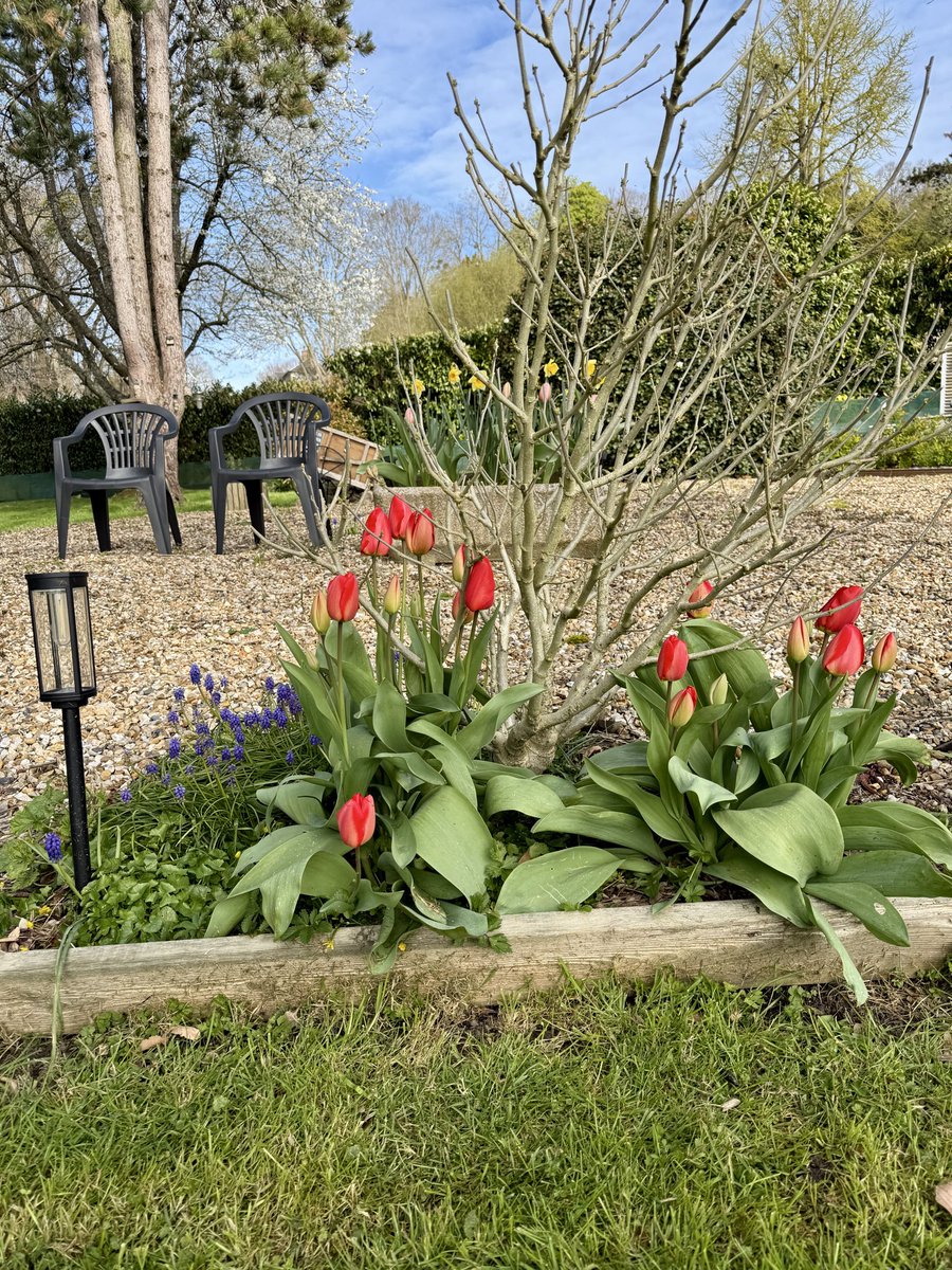 David Harris 🇫🇷🇬🇧 tweet media