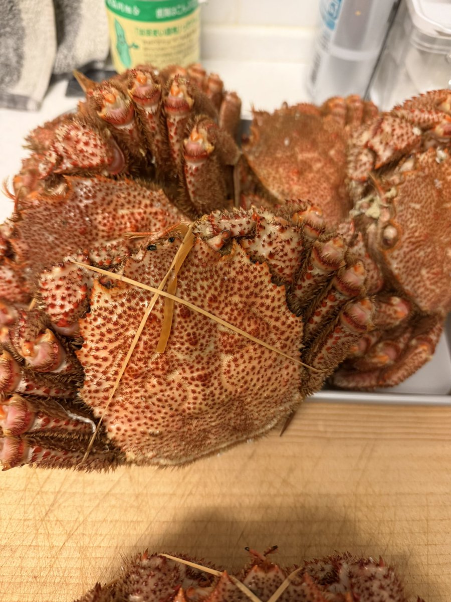 428clover4's tweet photo. 毛蟹漁解禁😁初物食らったる��
気温も0℃前後で落ち着いてきて、雪解け間近だね https://t.co/Bft5RpklY3