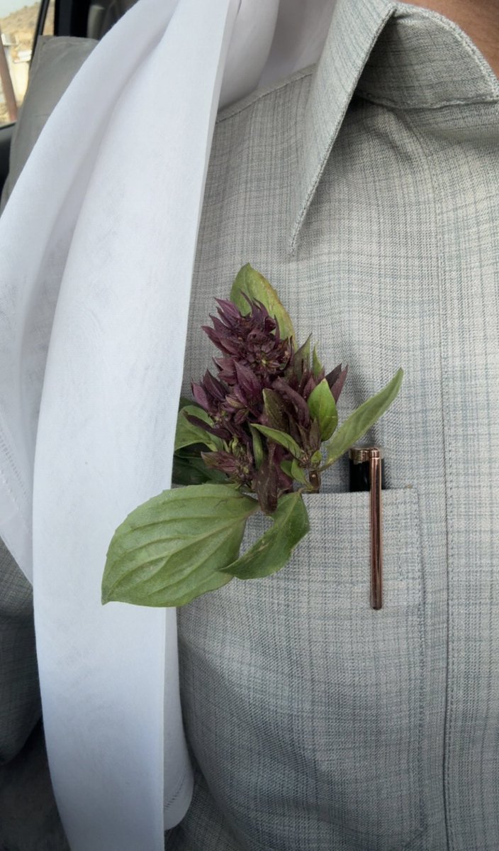 بَشفايز tweet media