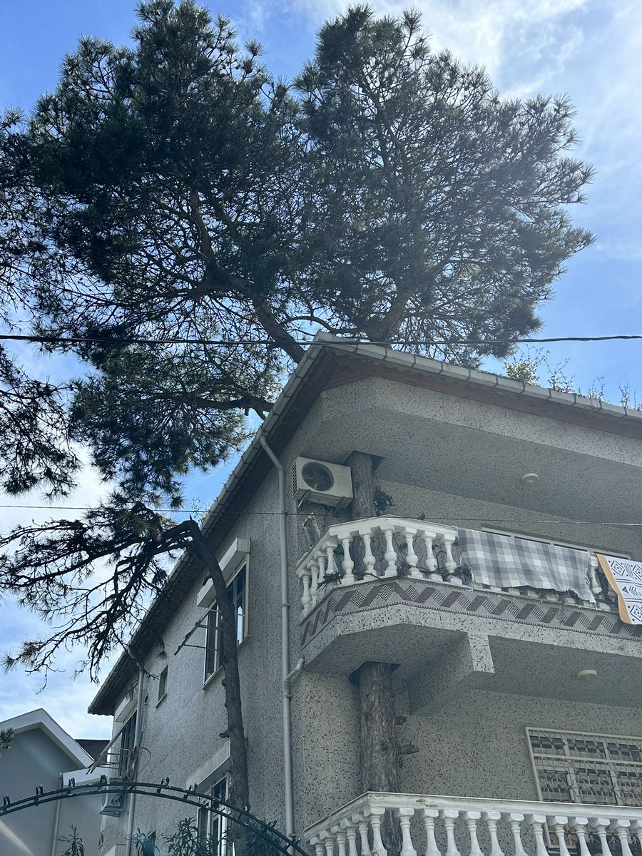 Ukar yapı mühendislik tweet media