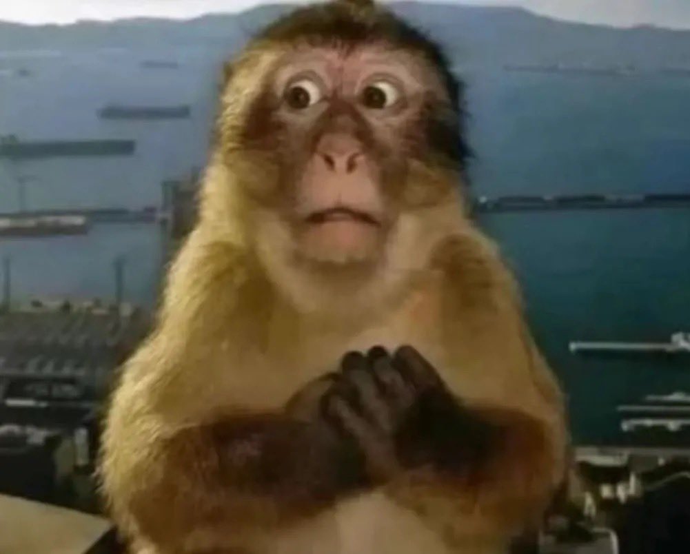 ماثيو tweet media