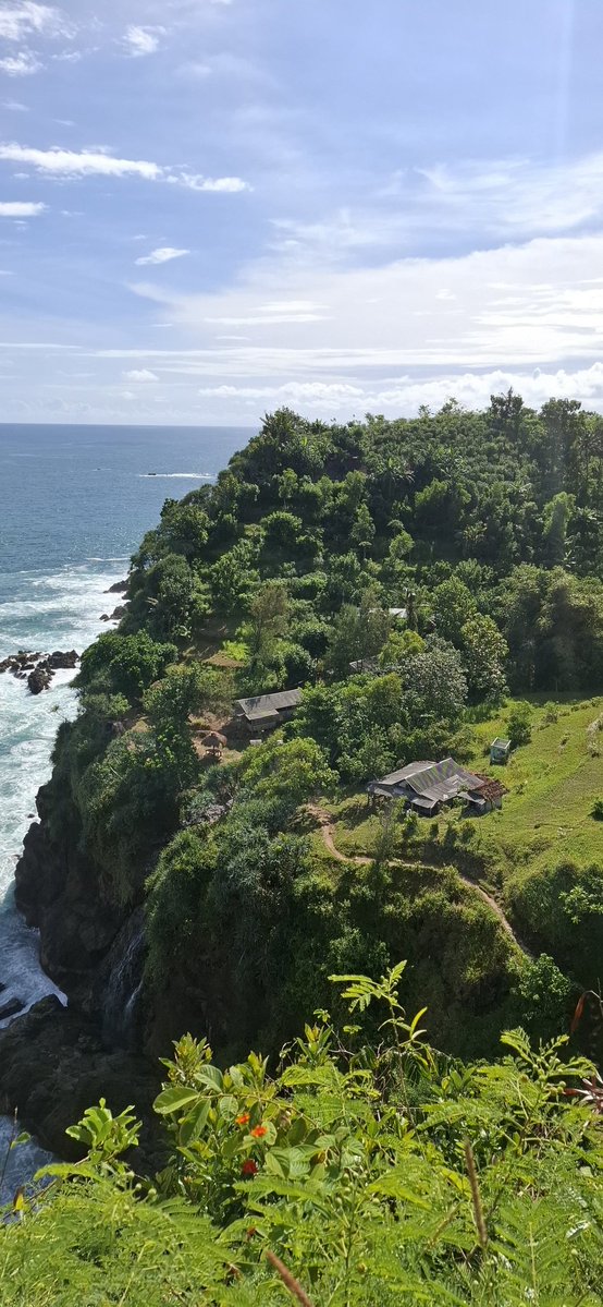 𝓯 ivè 🍵🍡🧘🏼‍♀️🥝 tweet media