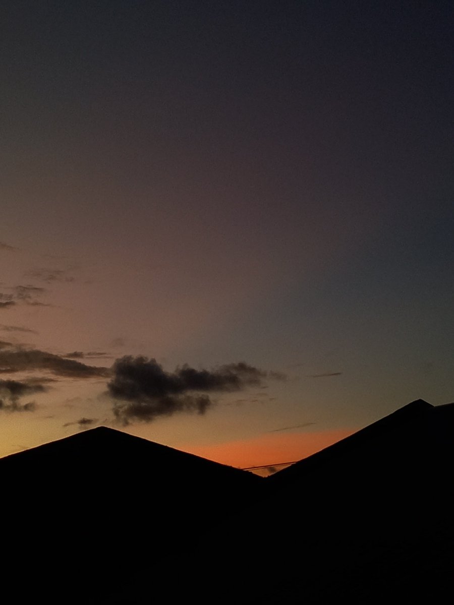 catrea patrol tweet media