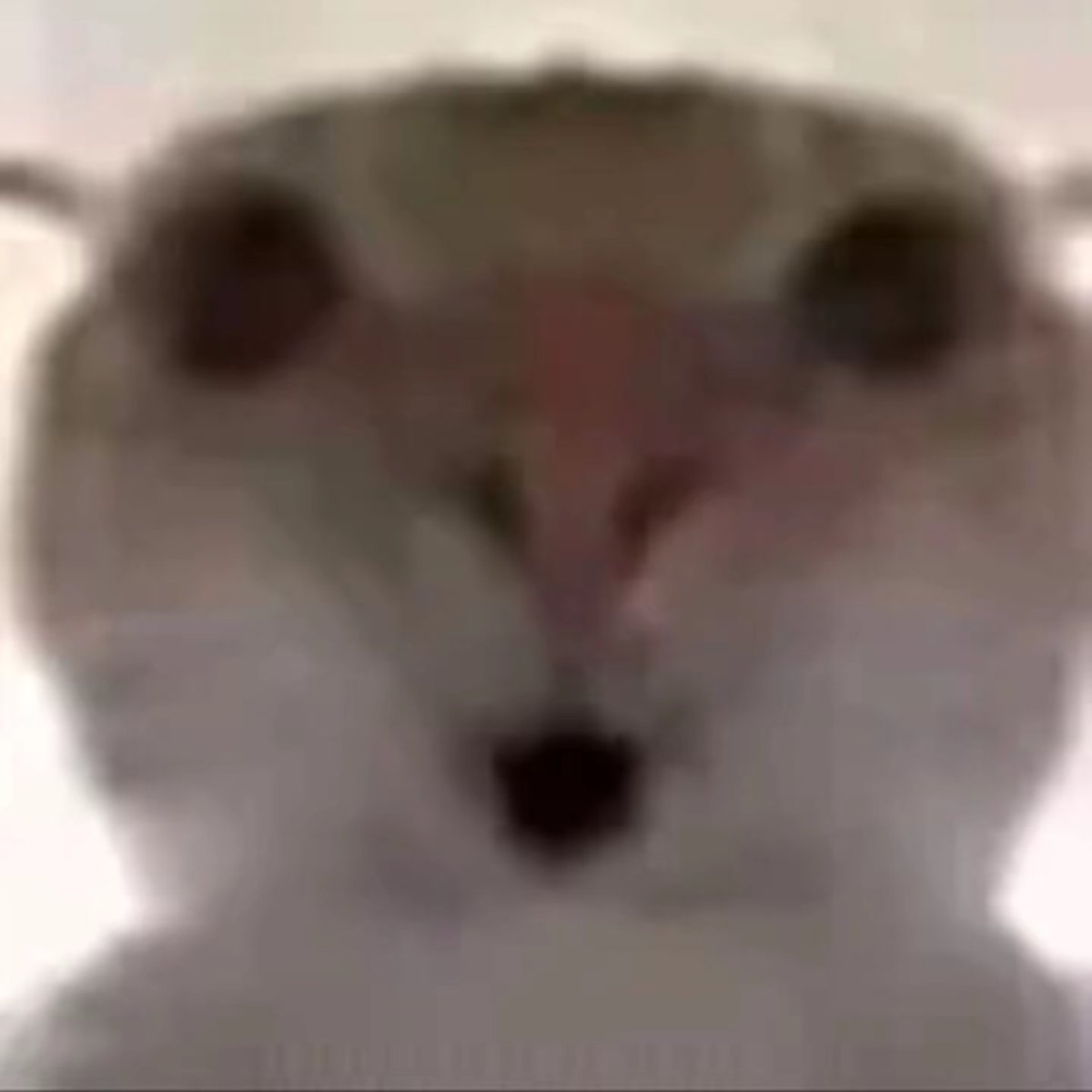 666哪里都有非人类 tweet media