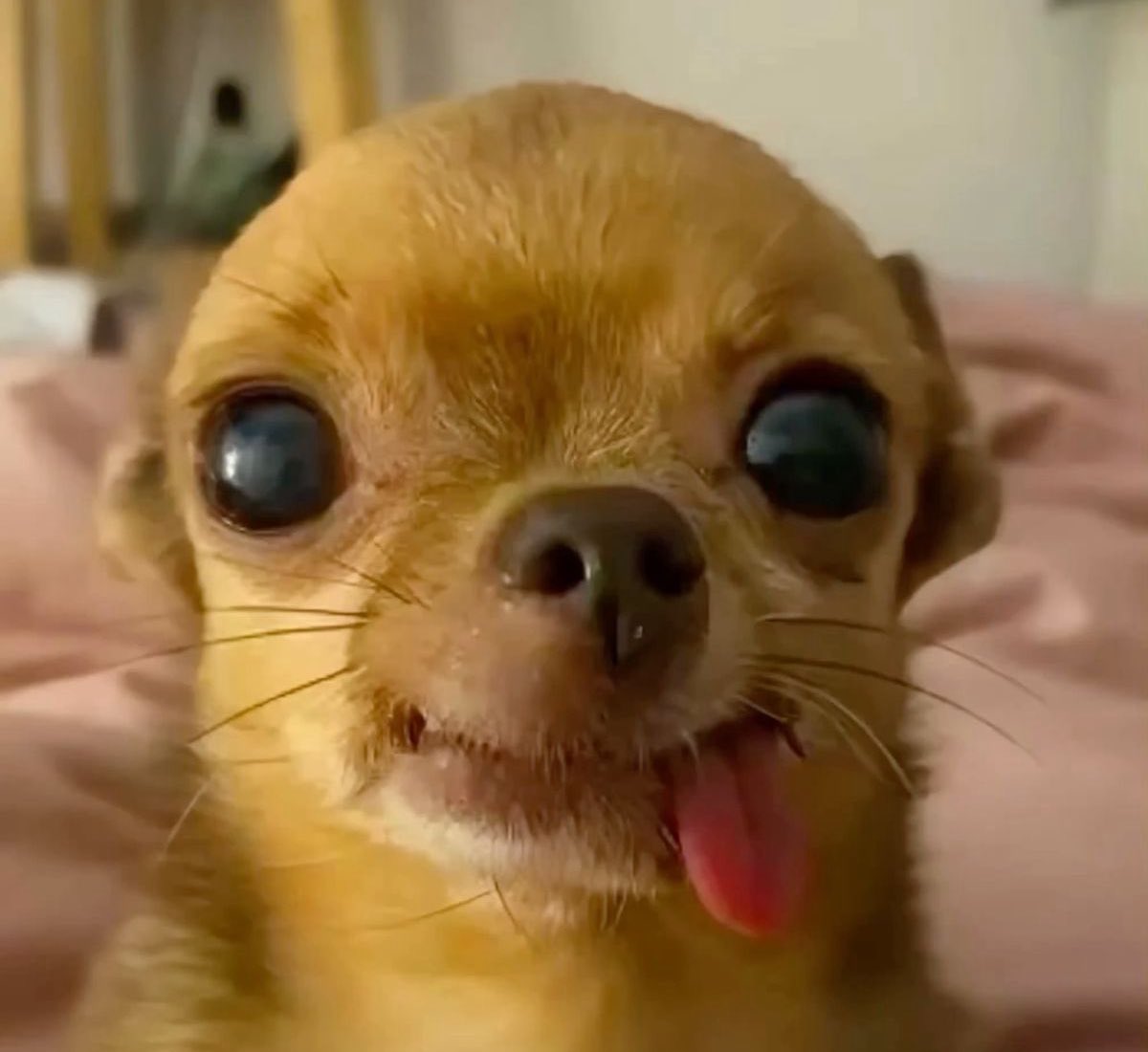 ᴊ ᴜ ɪ tweet media