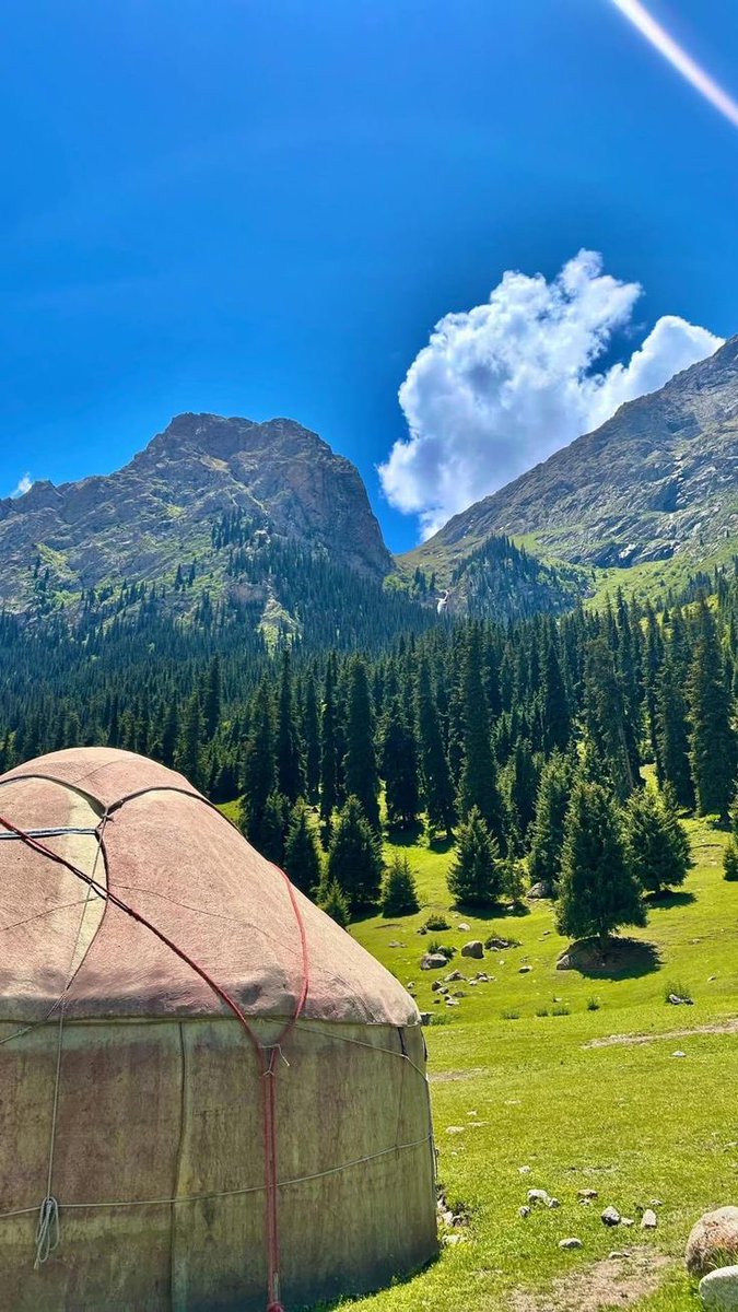 Dila Dalkılıç 🐚🌟🦌 tweet media