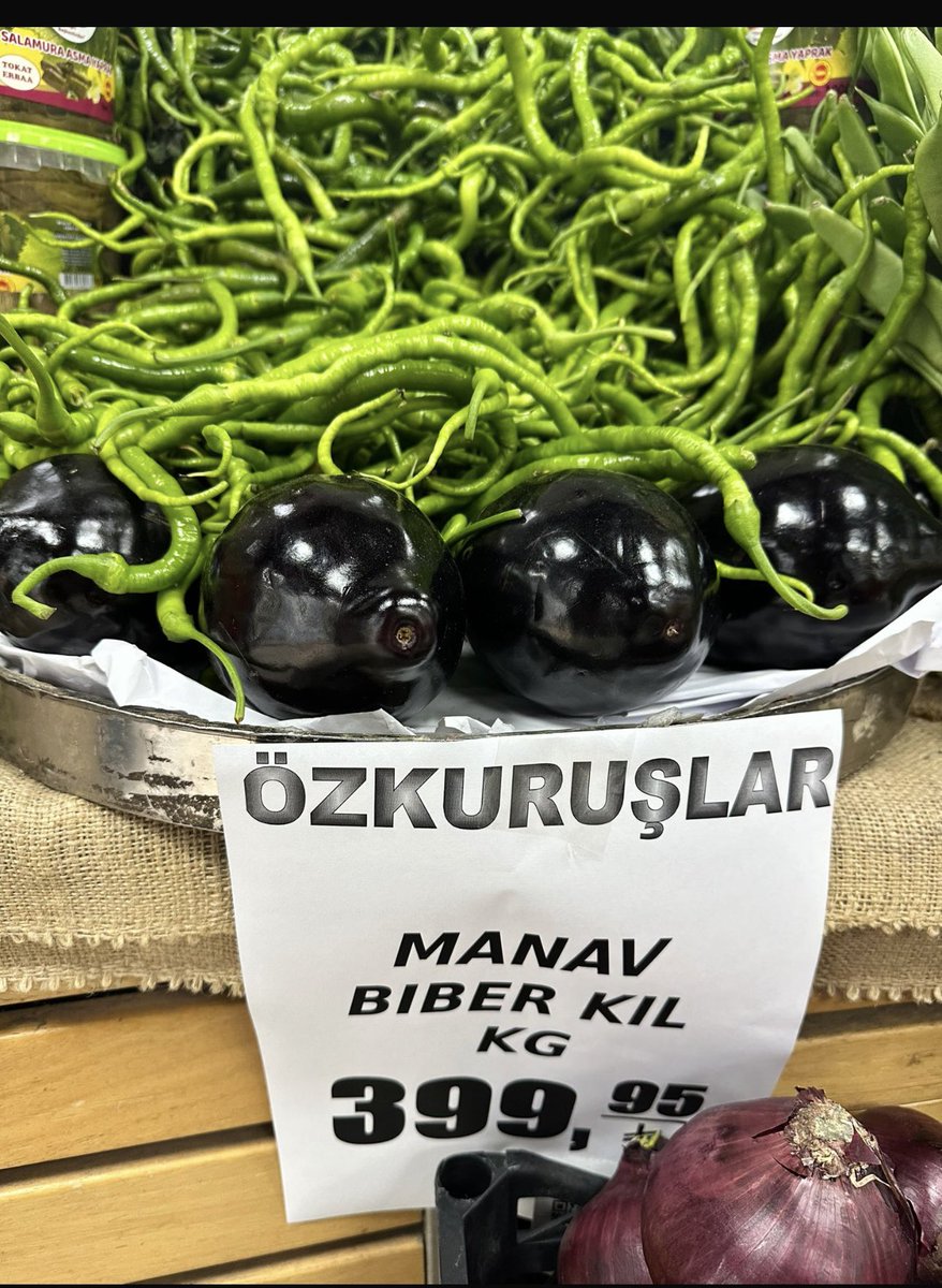 aydinyuksel1's tweet photo. @sokakkedisitv Uçuşa geçtik gerçekten maşallah diyelim 👏🏼 https://t.co/a9N47XgE9p