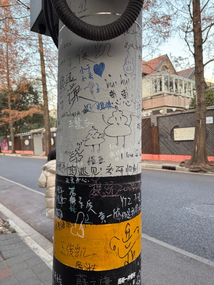 haley giles tweet media