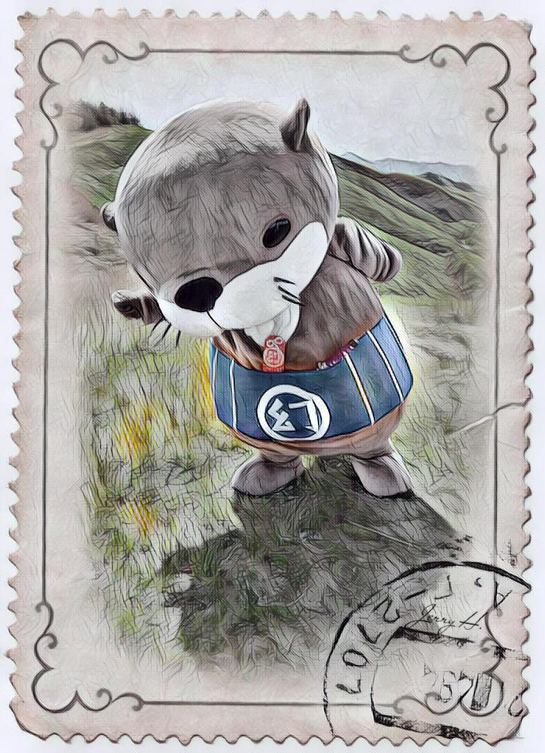 ニホンカワウソ幻(げん)ちゃん【公式】 tweet media