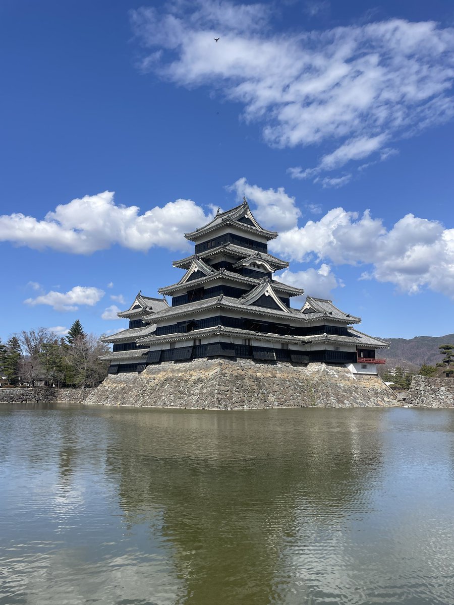 やきいもボーイ(PIZZA BOY) tweet media