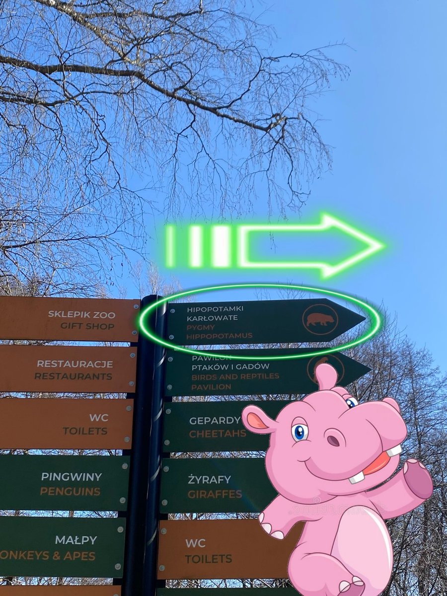 Crypto Ape tweet media