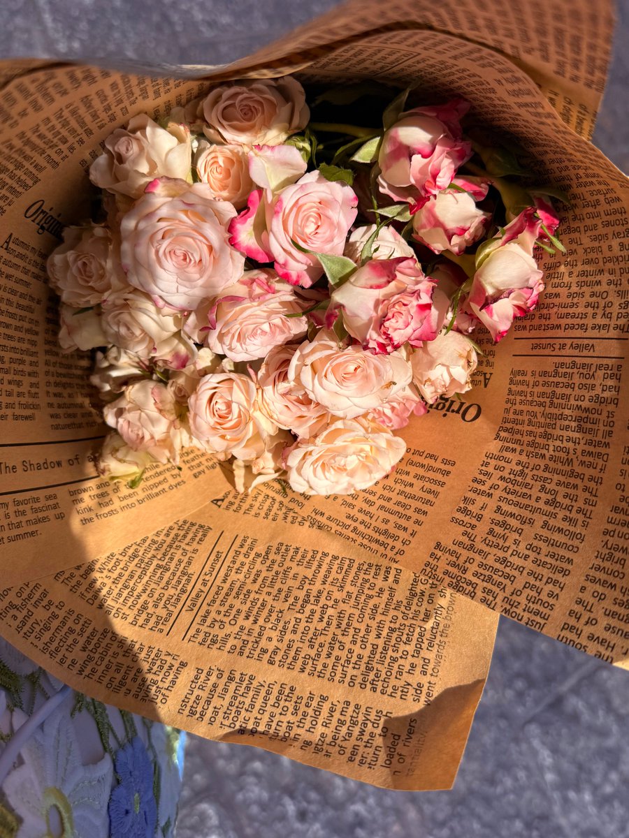 重庆刘亦菲 tweet media