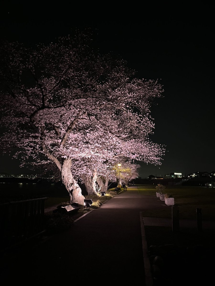 笠松町(公式) tweet media