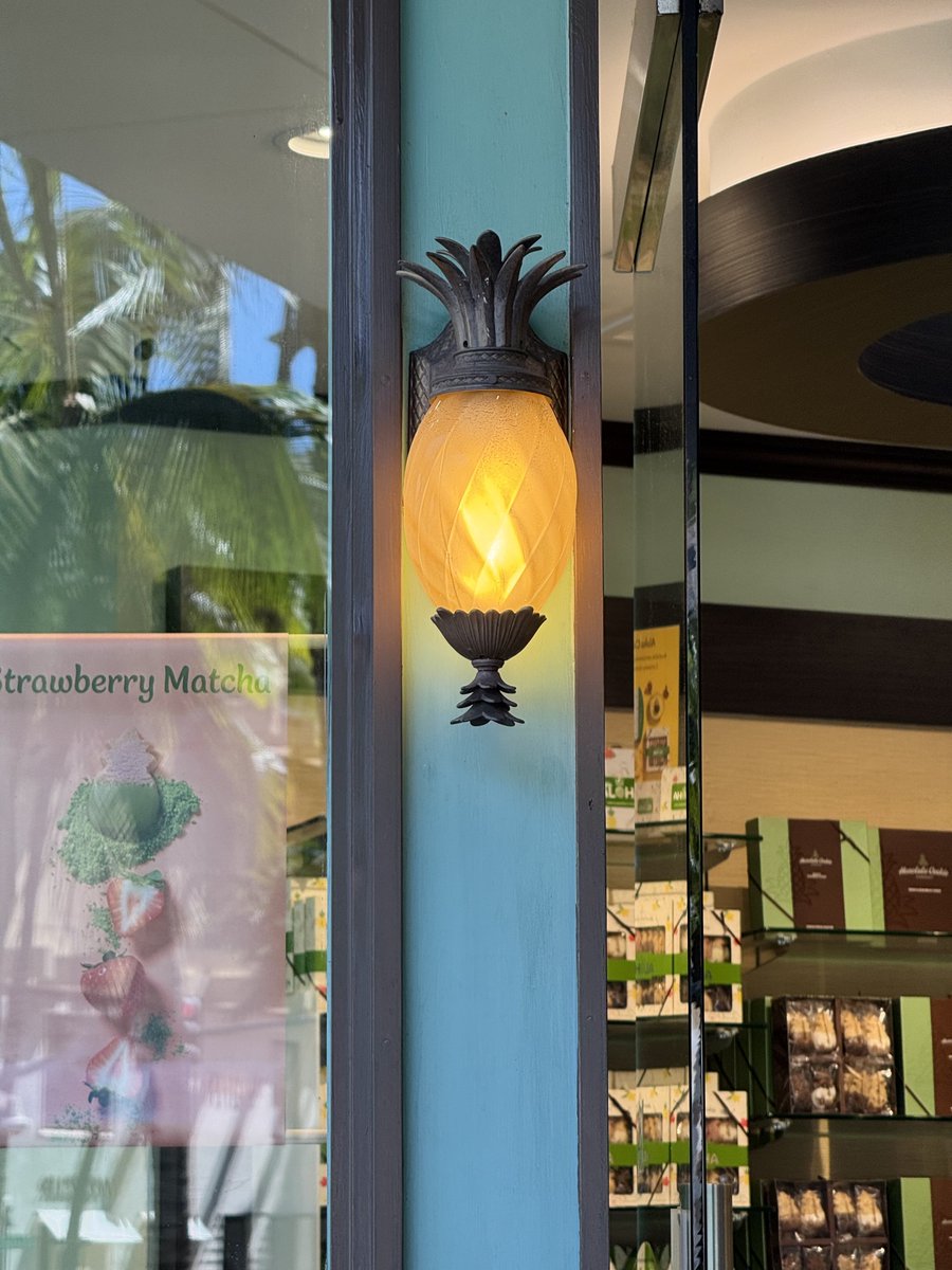 sokoniyouth's tweet image. 🍍💡✨😑ﾊﾟｲﾅﾎﾟｫ

#灯り
#electriclight