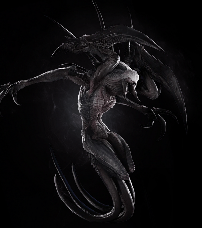 FEMSOFTWARE 🏳️‍⚧️🔞 tweet media