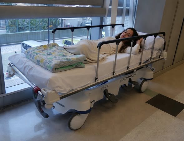 PEPE, en Español . INVICTUS MANEO.🇪🇸 🇮🇱 tweet media