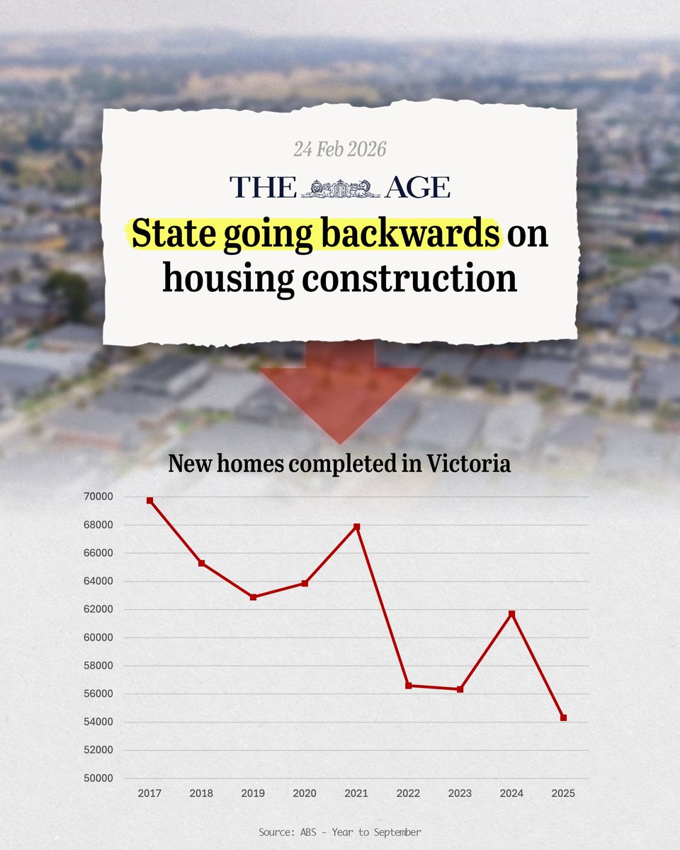 Grizzly Bear tweet media