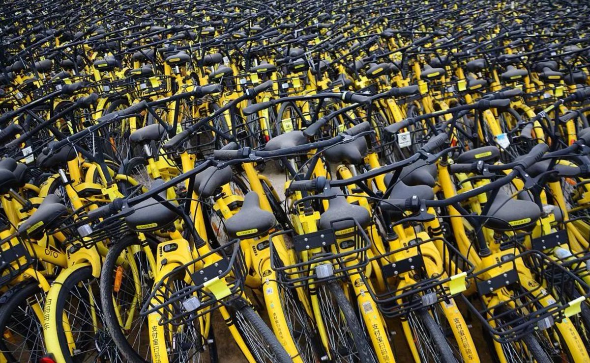 CaliLily tweet media