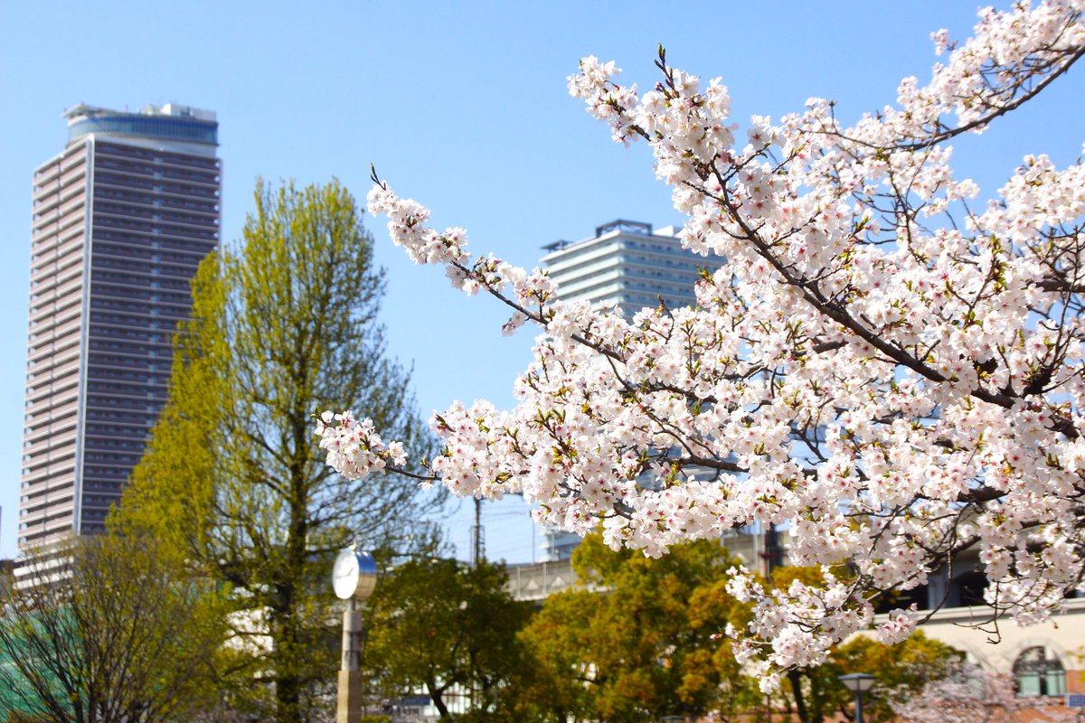 🌏 シ"→コ ☀ tweet media