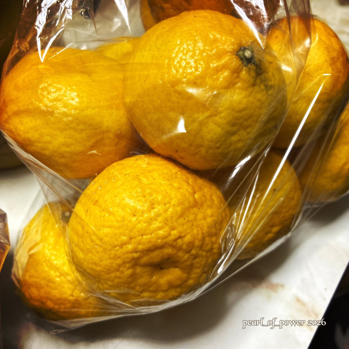 ぱーる・おぶ・ぱわー tweet media