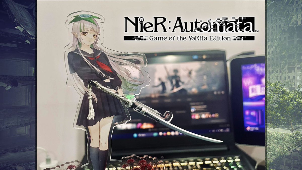 Shogo🌼 tweet media