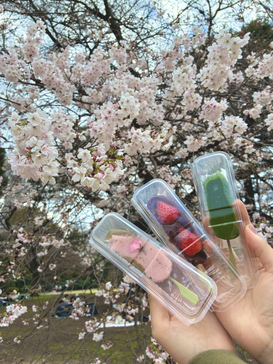 片瀬萌南 tweet media